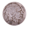 Buffalo Nickel (Extremely Fine condition)   1 coin