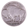 Buffalo Nickel (Extremely Fine condition)   1 coin