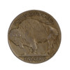 Buffalo Nickel (Fine condition)