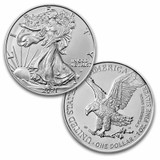 2021 Type 2 Silver Eagles - What's the Difference?