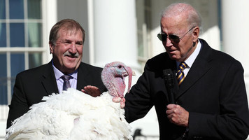 Was the Turkey Supposed to be Our National Emblem?