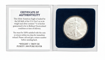 American Silver Eagle Guide: What Beginners Should Know