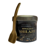 Sattvayur Himalayan Shilajit 
