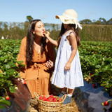3 gut health tips for your whole family 