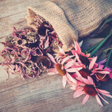 Echinacea – the importance of quality & dosage