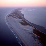 HealthPost Nature Trust expands conservation efforts at Farewell Spit