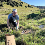 Community tree planting: 17 years of restoring nature