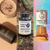 Best immune support mushrooms – your naturopath guide