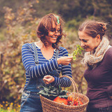 Poor sense of smell and taste? You may be short of Zinc! Poor sense of smell and taste? You may be short of Zinc!