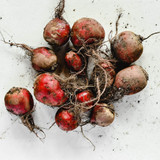 The background on beetroot The background on beetroot