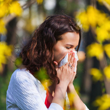 Acute winter immune support