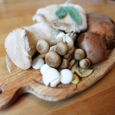 Mushrooms – not just a pizza topping