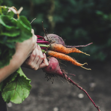 Ask Our Naturopath: What Deficiencies Should Kiwi's Watch Out For?