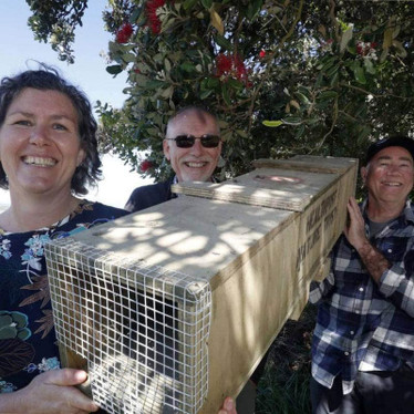 HealthPost Nature Trust ecosanctuary vision inspires wider Onetahua Restoration project