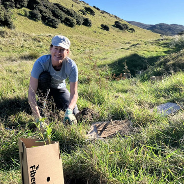 Community tree planting: 17 years of restoring nature