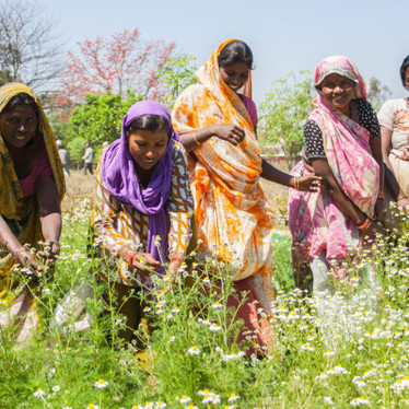 ​Organic India Shares What It Means To Be Socially Responsible