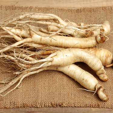 Siberian Ginseng – a natural adaptogen