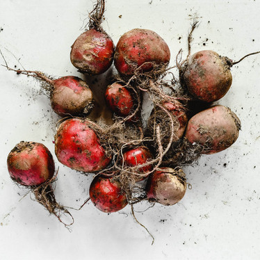 The background on beetroot