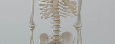 How to build a good skeleton – and keep it that way!
