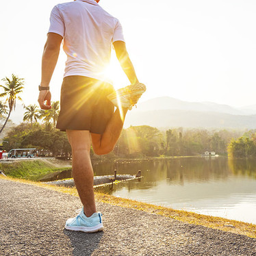 Flex Your Joints into Shape