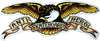 Anti Hero EAGLE HUGE DECAL single
