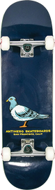 Anti Hero PIGEON COMPLETE-8.5