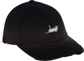 RIP N DIP HAT