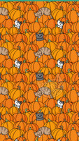 Pumpkins - Phone Wallpaper