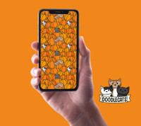Pumpkins - Phone Wallpaper