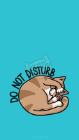 Do Not Disturb - Phone Wallpaper