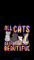 All Cats are Beautiful - Phone Wallpaper