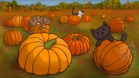 October Pumpkin Patch Desktop Wallpaper