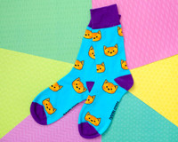 Ginger Cats on Blue Socks