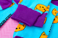 Ginger Cats on Blue Socks