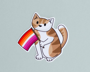 Pride Cat - Lesbian Flag- Vinyl cat sticker Pride Cat - Lesbian Flag- Vinyl cat sticker