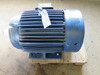 Marathon 40/30 HP 3 Phase General Purpose Motor