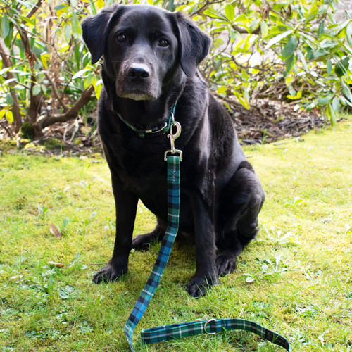 Tartan Dog Collar and Leash
