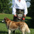 man in kilt with dog