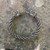 Boar head terminal detail on bronze Celtic torc bracelet
