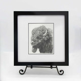 Chief Sun On His Face, Framed