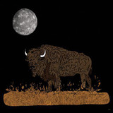 "Night Buffalo" Canvas Art Print