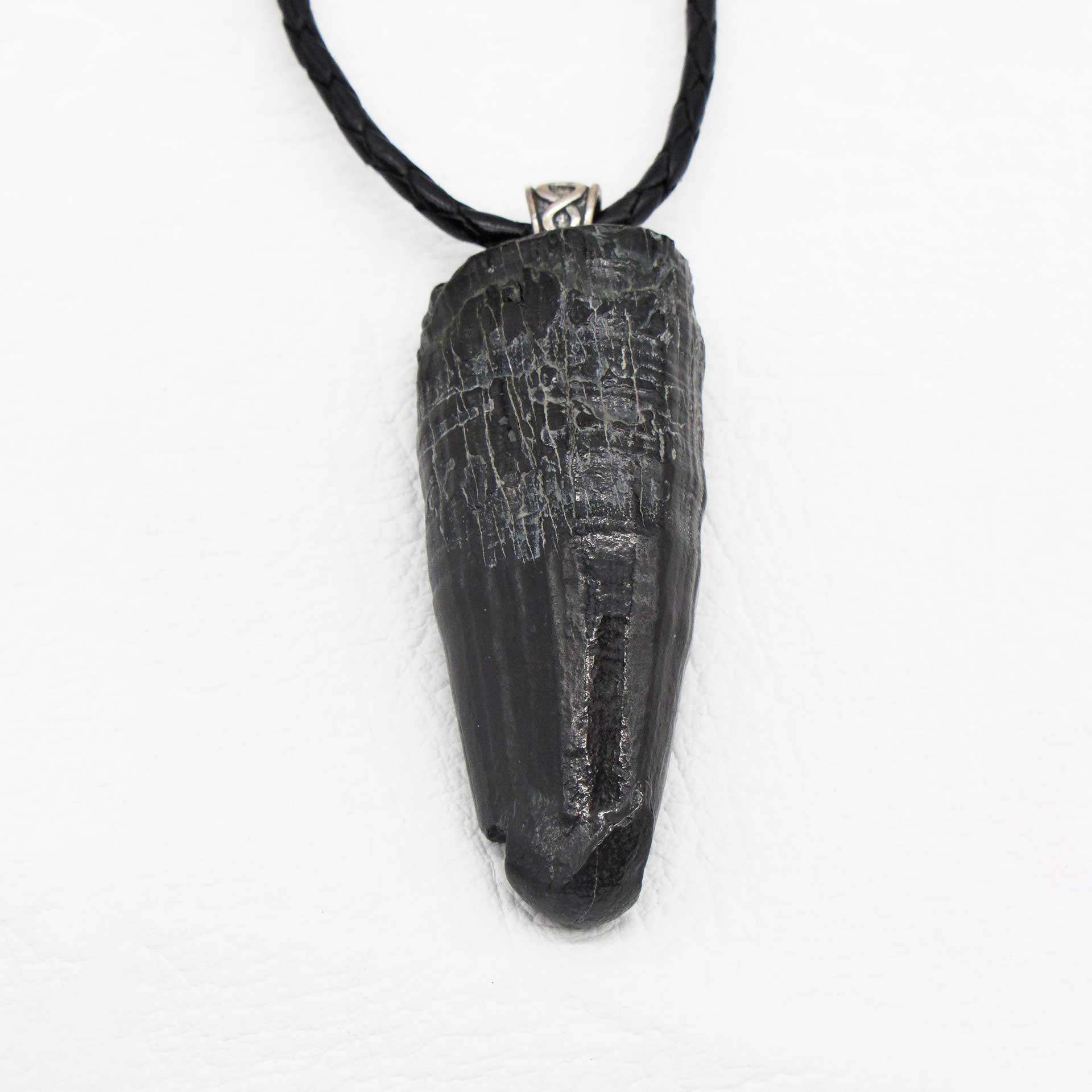 Prehistoric Tooth Necklace