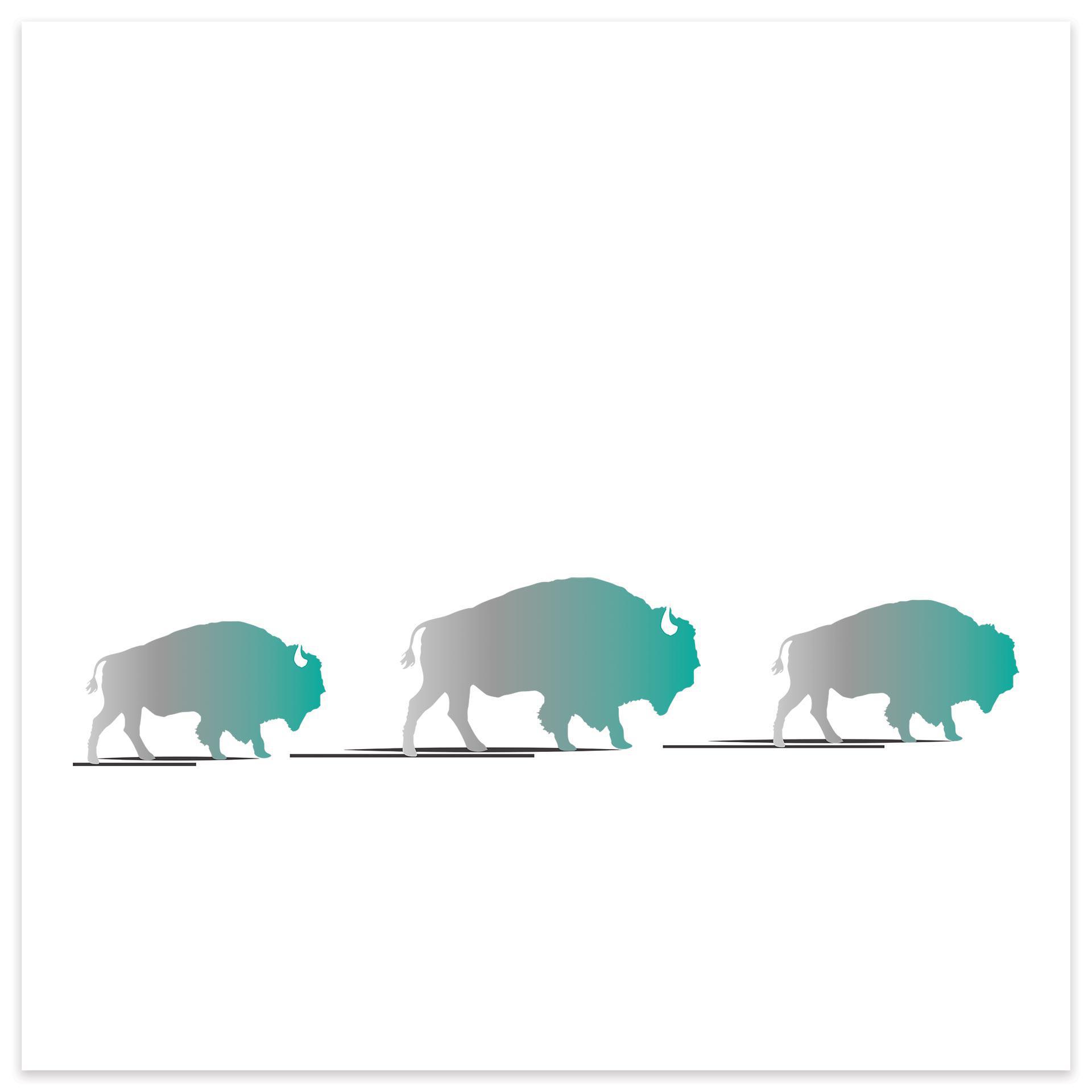 "Three Buffalos" Canvas Art Print