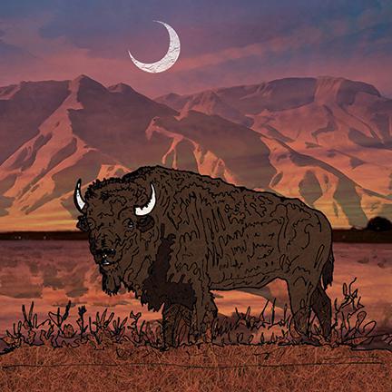 "Desert Moon Buffalo" Canvas Art Print