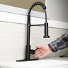 Empire Faucets SP5000BMT-E RV Kitchen Sink Faucet Black Pull Spout
