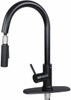 EMPIRE SINGLE LEVER KITCHEN FAUCET BLACK WITH PULL DOWN SPOUT