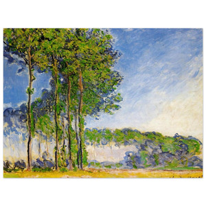 claude monet  Poplars View from the Marsh Aluminum Print