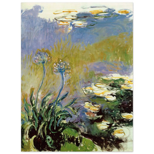 claude monet  Agapanthus Wood Print