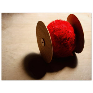 Lygia Pape  Wheels with ball  2001 Wood Print