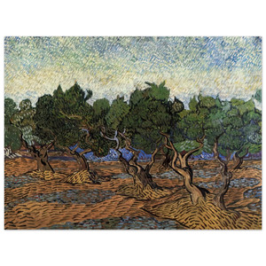Vincent van Gogh  Olive Grove N2 Wood Print